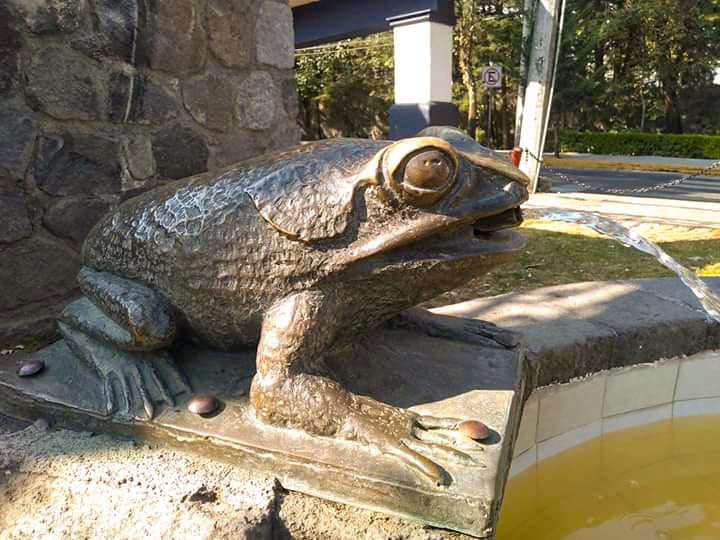 Contadero 2.jpg
