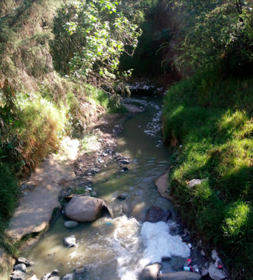 La Loma, Zona de Conservación Ecológica