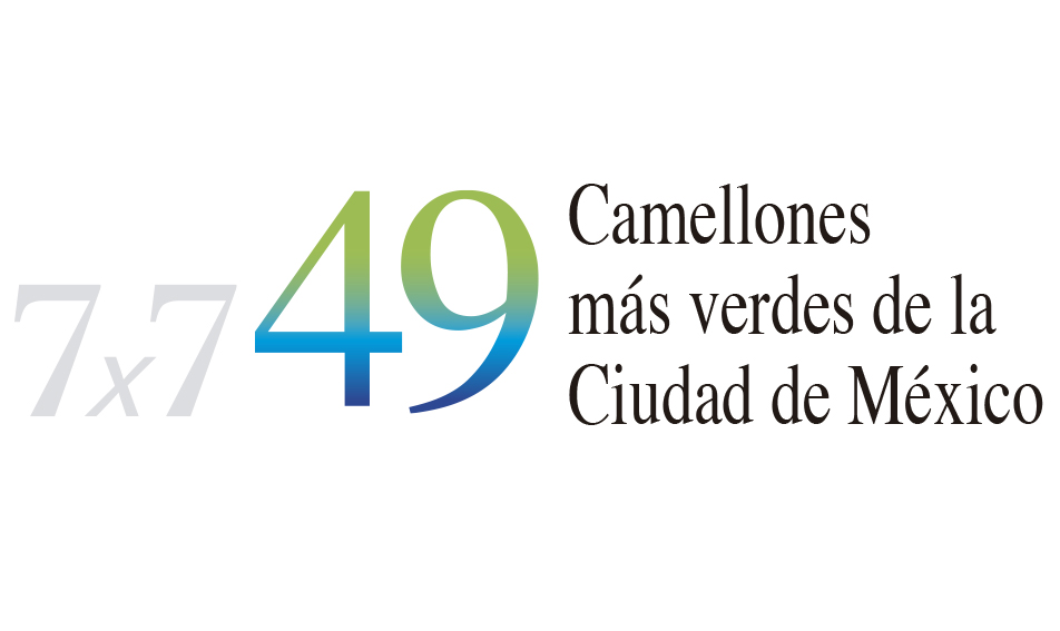 49 camellones.jpg