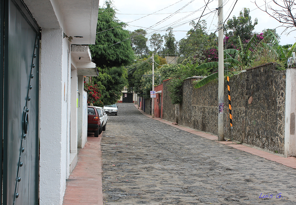 Colonia Pueblo de Santa María Tepepan