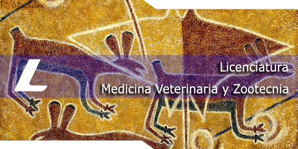 Licenciatura en Veterinaria