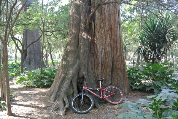 Archivo:Bici.jpg