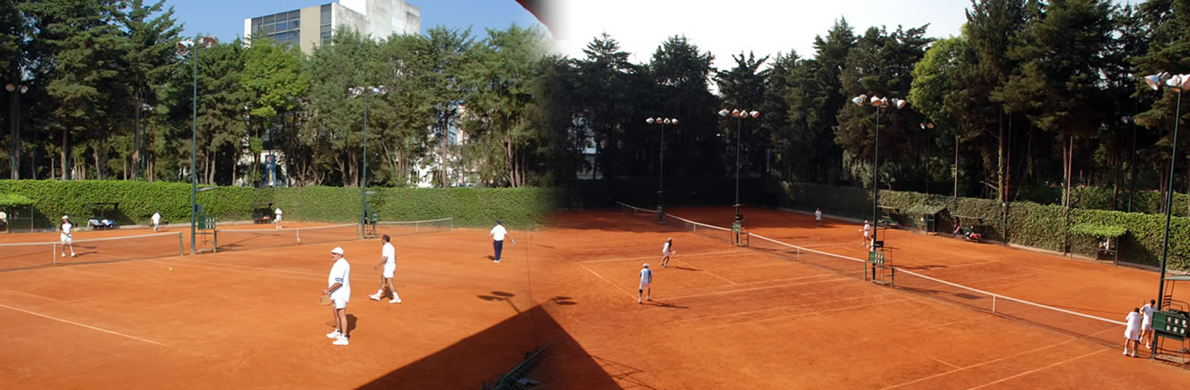 Junior Club