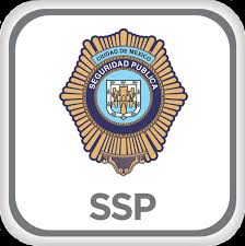 Módulo de Seguridad S.S.P. Anzures