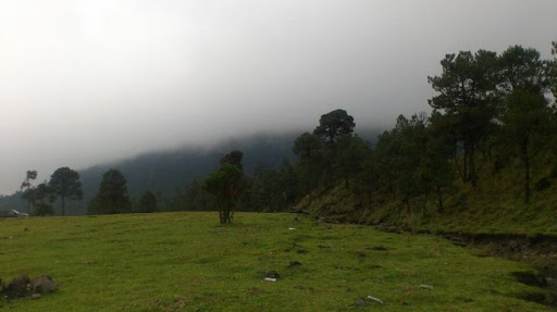 Ajusco 2.jpeg
