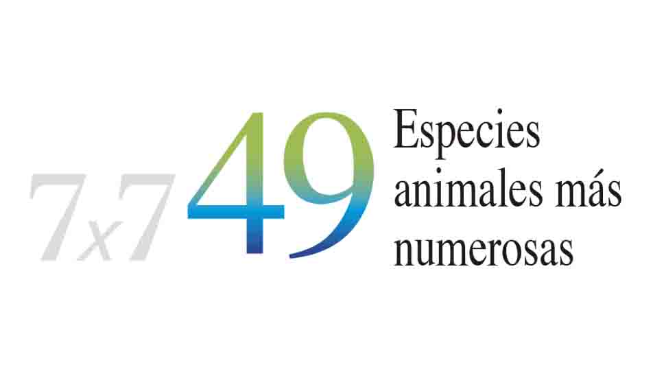 49 especies.jpg
