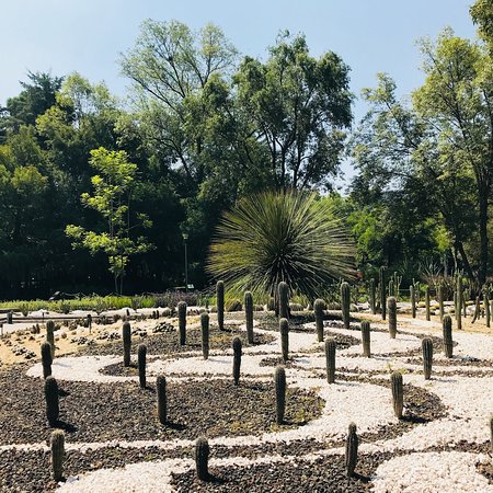 JardínBotanico.jpg