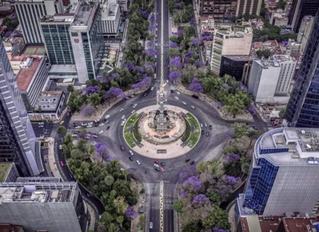 Glorieta del Ángel de la Independencia con árboles de jacarandas en flor.