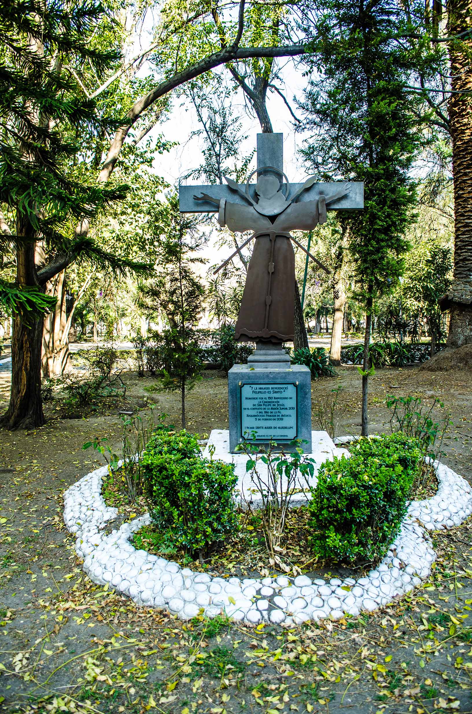 “Y la higuera reverdeció Felipillo es santo”