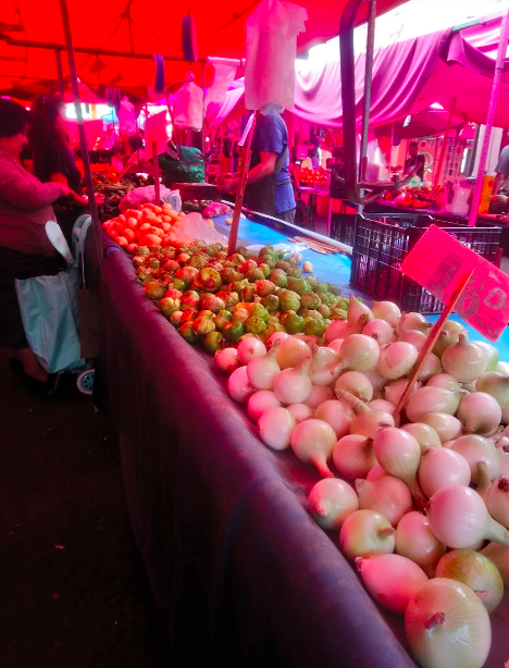Tianguis de los Miércoles Jardín Balbuena