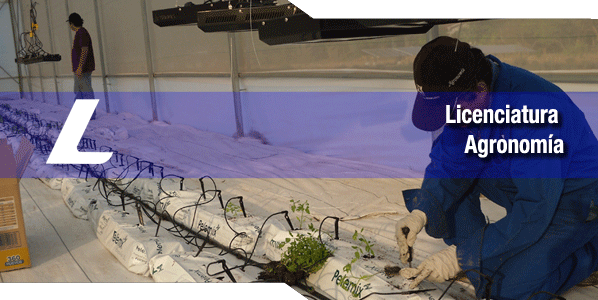 Licenciatura en Agronomía