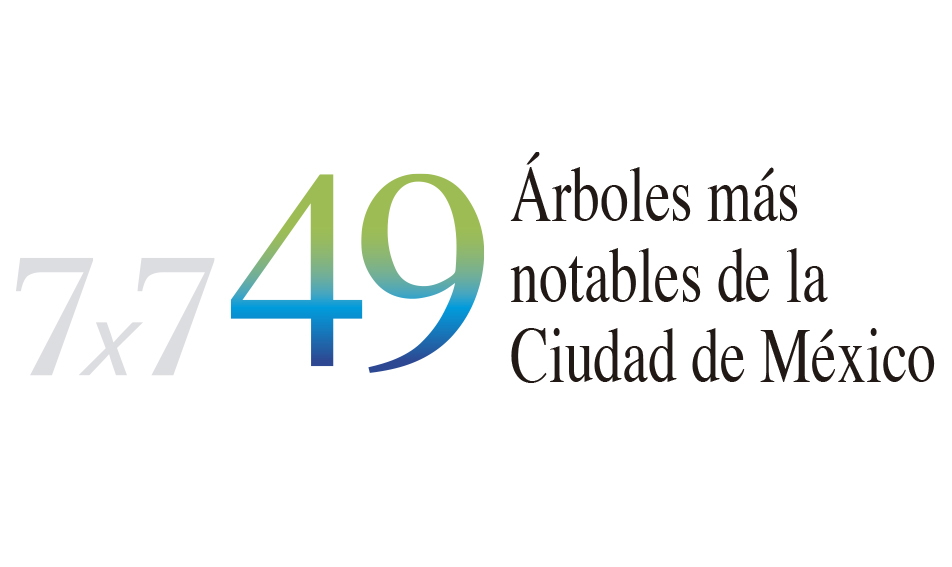 Árboles de la Ciudad de México