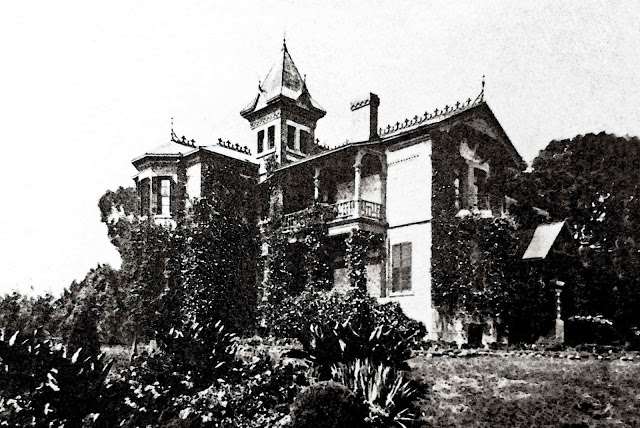 Archivo:SAM 3630''comprRtc.jpg