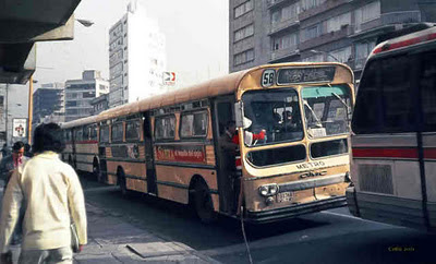 Archivo:Vitrina 1.jpg
