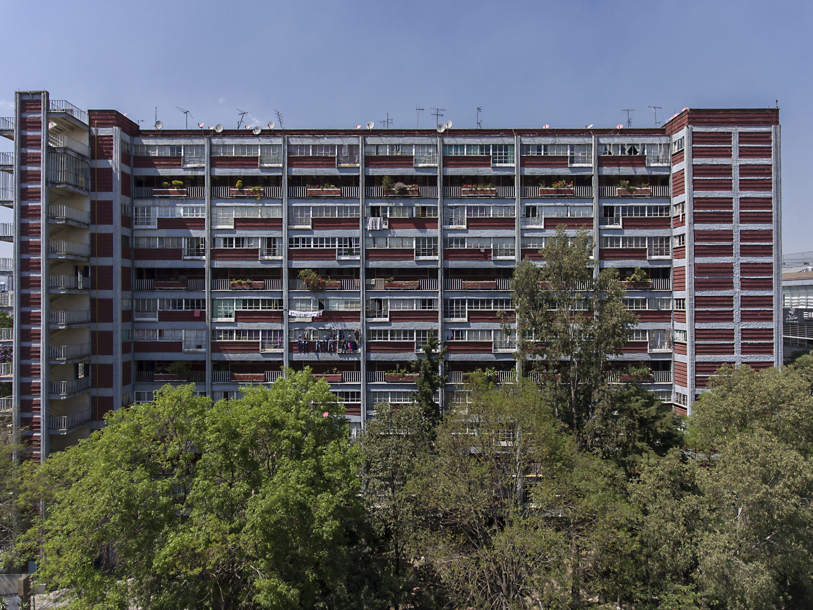 El CUPA.jpg