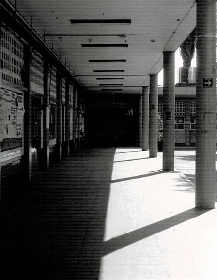 Archivo:PREPA 7 4.jpg