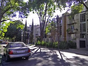 La Colonia Polanco Primera Sección