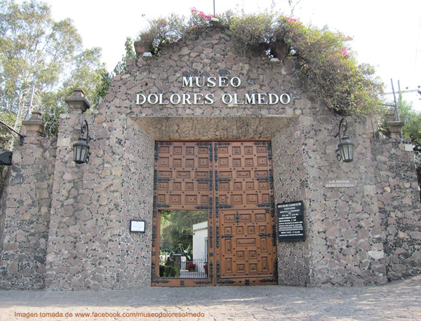 Archivo:Dolores Olmedo Museo CMDX.jpg