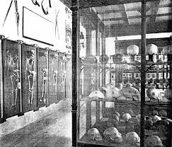 Archivo:Museo madero.jpg
