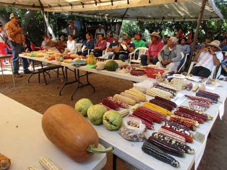 La Feria del Elote