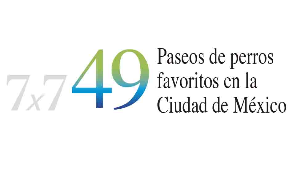 49 paseos de perros.jpg