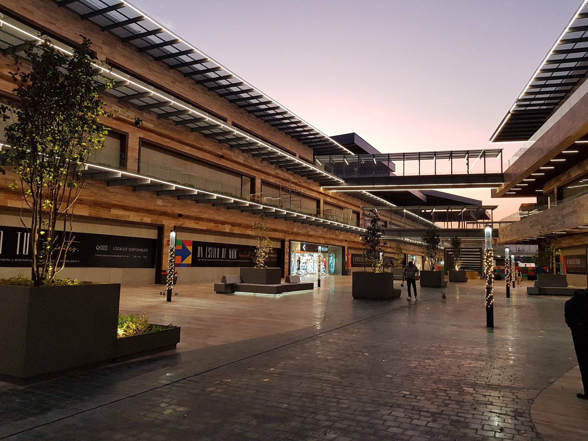 Terraza Coapa.jpg