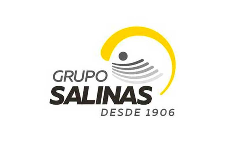Grupo Salinas