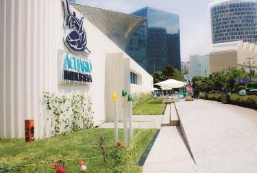 Acuario Inbursa.jpeg