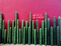 México, mi amor.jpg