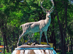 Parque de los Venados.png