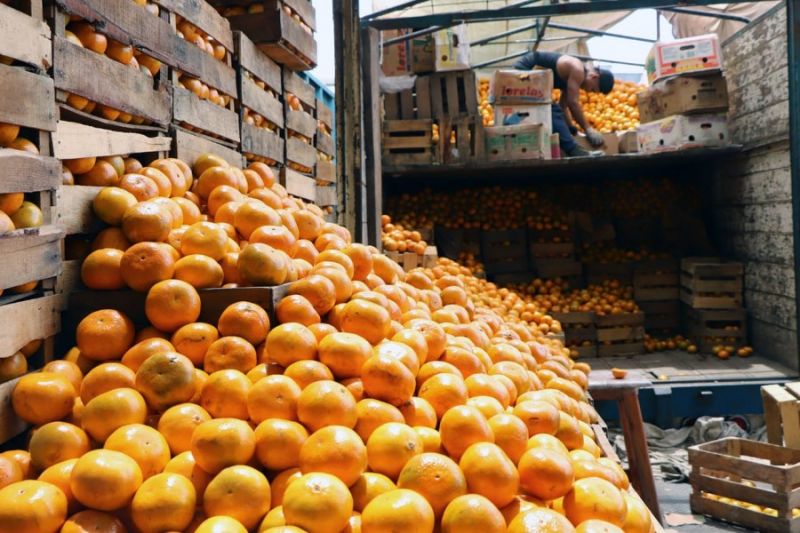 Archivo:Mandarina.jpg