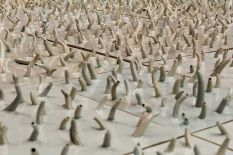 Ai-weiwei-muac-04.jpg
