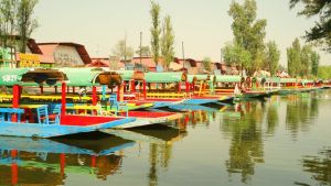 Discover-1851-1-flores-en-xochimilco 849x477 adaptiveResize.jpg