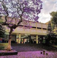 PREPA 8 2.jpg