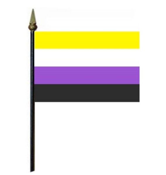 Archivo:No Binario Estandarte.jpg
