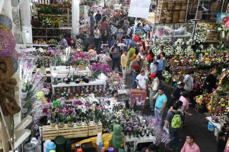 Archivo:Mercado-de-Jamaica.jpg
