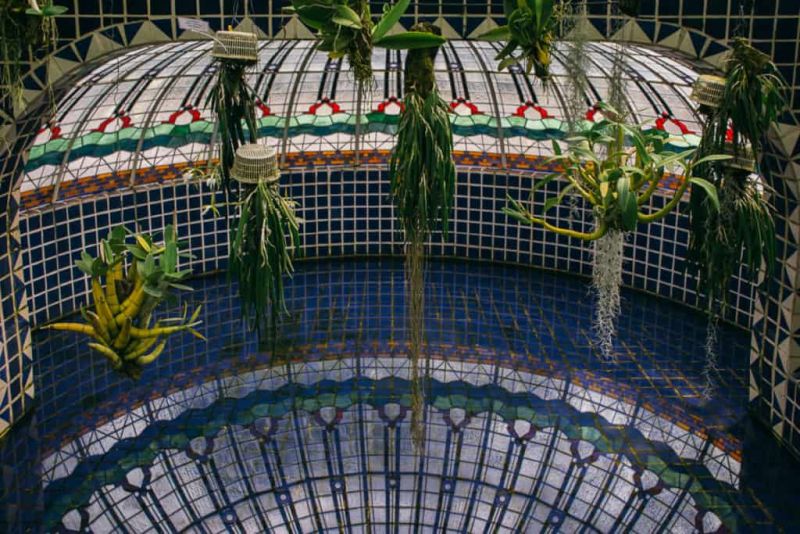 Archivo:Jardin-botanico-9491-1024x683.jpg