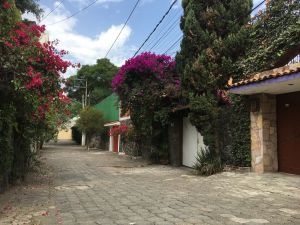Pueblo Santa Úrsula Calle.JPG