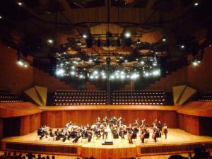 La-mejor-sala-de-conciertos.jpg