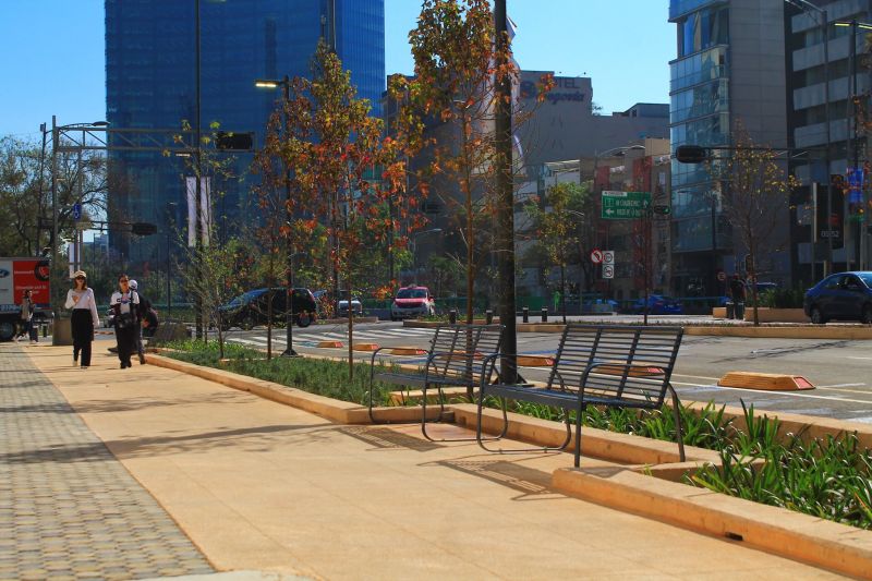 Archivo:Avenida Chapultepec.jpg