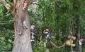 Miniatura de la versión del 23:03 1 jun 2020