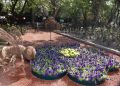 Miniatura de la versión del 22:27 29 may 2020