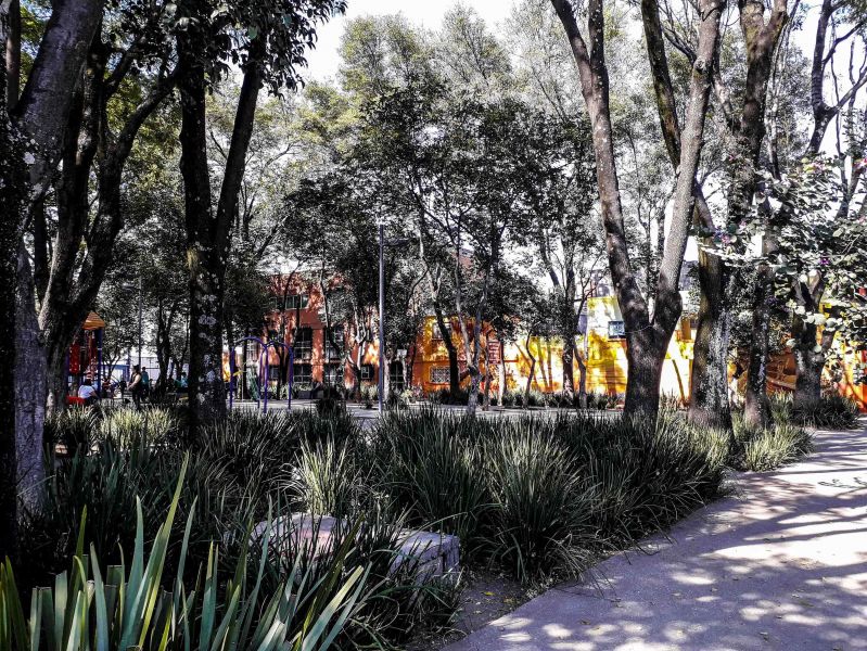 Archivo:Parque San Lucas.jpeg