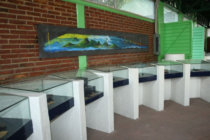 Archivo:CMDXCDMXCDMX.jpg