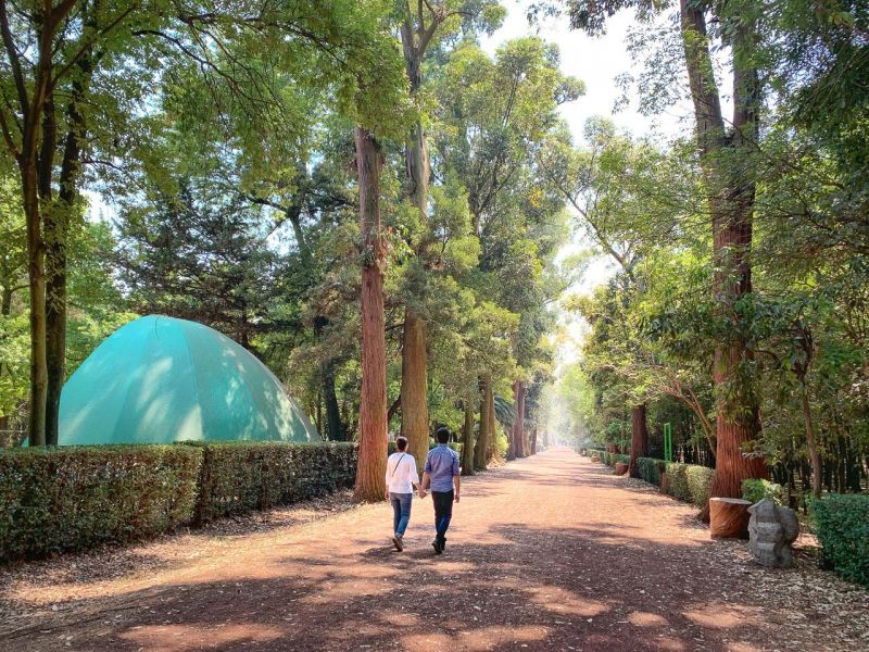 Archivo:Viveros de Coyoacán .jpg