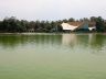 El Lago 1.jpg