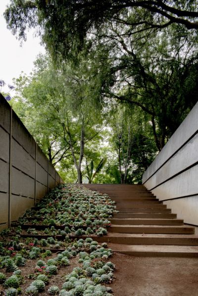 Archivo:11 JARDIN.jpg