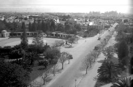 Condesa Imagen David Guerrero 4.jpg