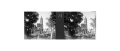 Miniatura de la versión del 16:43 7 jul 2020