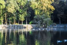 Lago de Fuentes brotantes.jpg